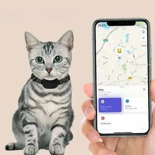 Collier de localisation pour chat