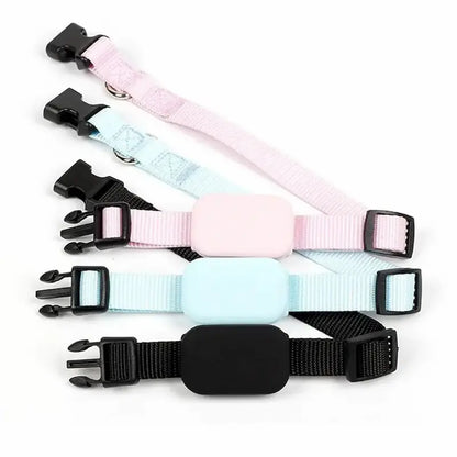 Collier de localisation pour chat