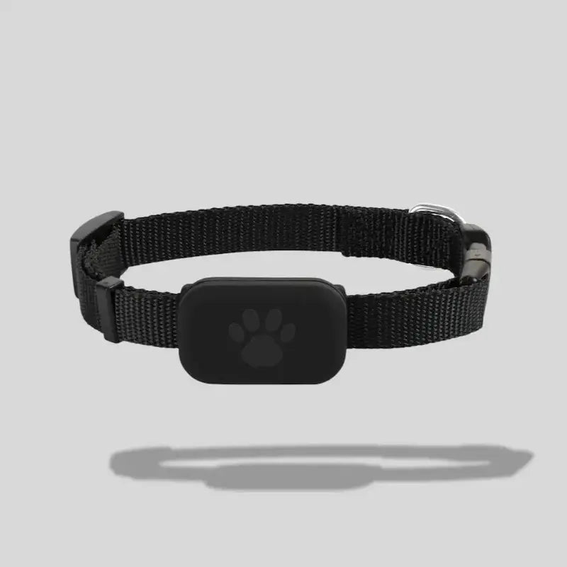Collier de localisation pour chat