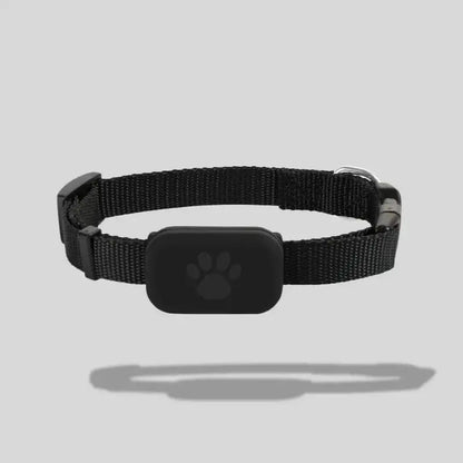 Collier de localisation pour chat