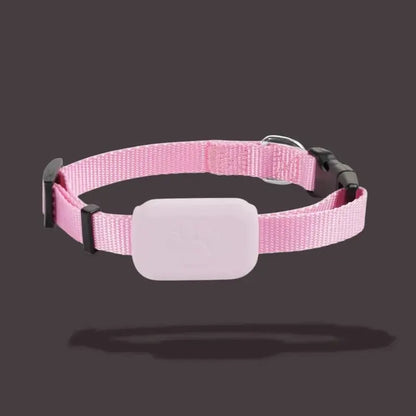 Collier de localisation pour chat