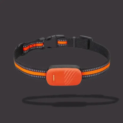 Collier traceur GPS pour chat
