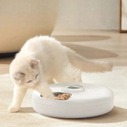 Distributeur automatique croquette 6 repas Griffe d'Amour