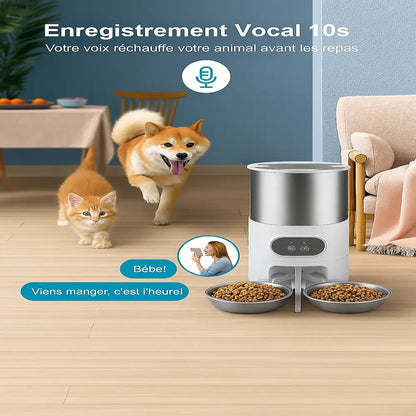 Distributeur automatique de croquettes pour 2 chats Griffe d'Amour