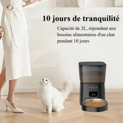 Distributeur de croquettes pour chat connecté - Griffe d'Amour
