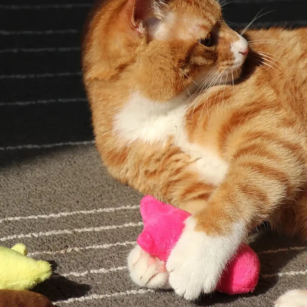 Doudou pour chat - Griffe d'Amour