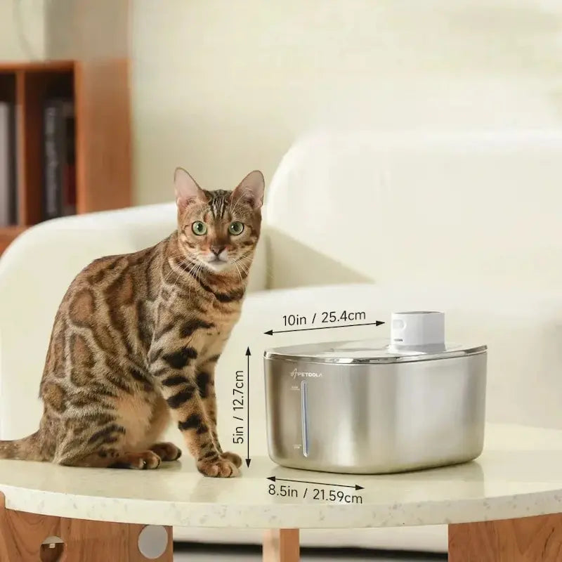 Fontaine à eau chat 4L