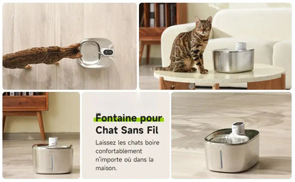 Fontaine à eau chat sans fil Griffe d'Amour