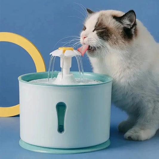 Fontaine à eau filtrante Griffe d'Amour