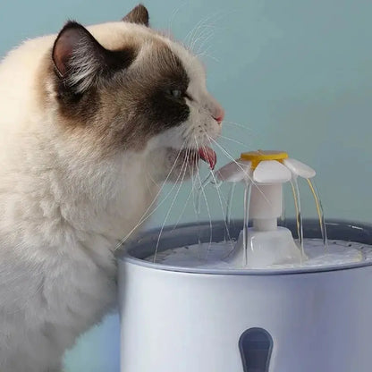 Fontaine à eau filtrante Griffe d'Amour