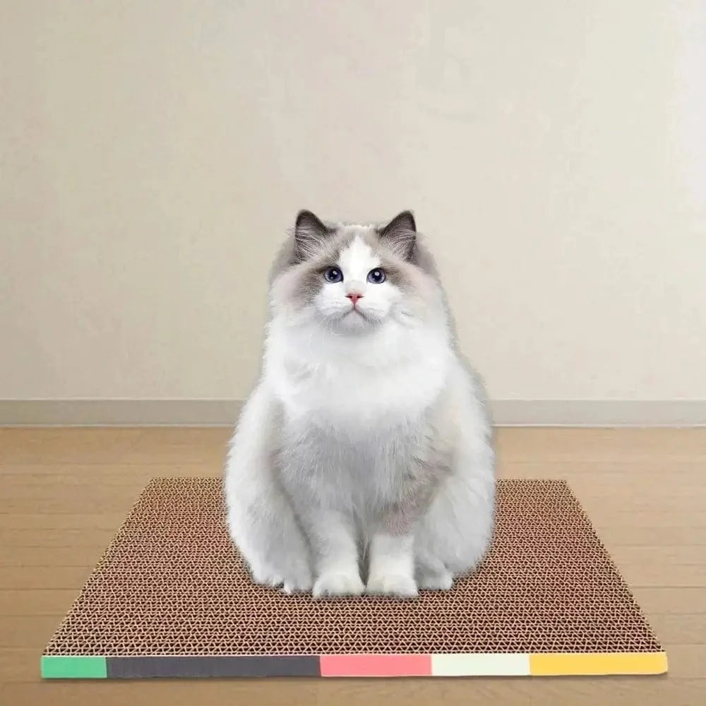 Griffoir chat en carton - Solide et pratique Griffe d'Amour