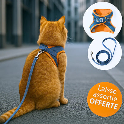 Harnais chat anti-fugue - Sécurité et confort absolu Griffe d'Amour