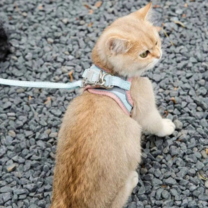 Harnais chat anti-fugue - Griffe d'Amour