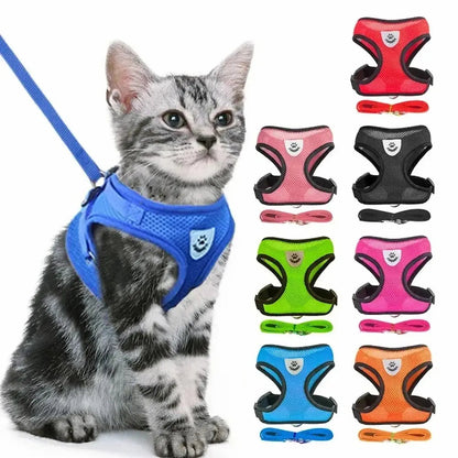 Harnais réfléchissant pour chat - Promenade sereine Griffe d'Amour