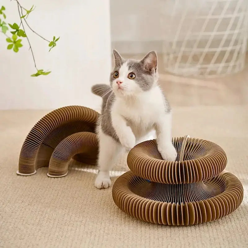 Jouet griffoir chat balle