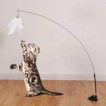 Jouet pour chat plume à ventouse