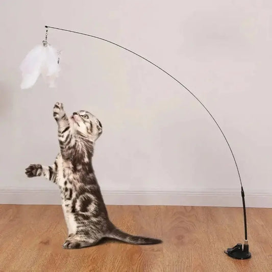 Jouet pour chat plume à ventouse