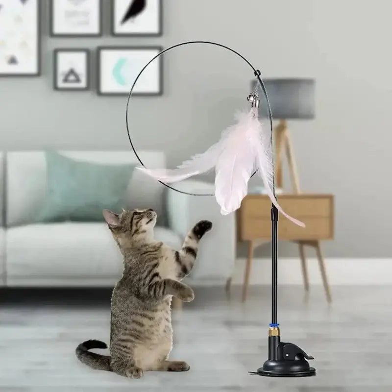 Jouet pour chat plume à ventouse