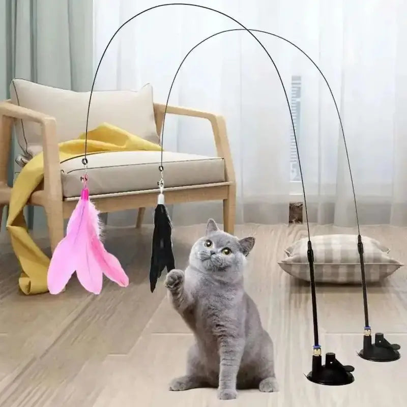 Jouet pour chat plume à ventouse