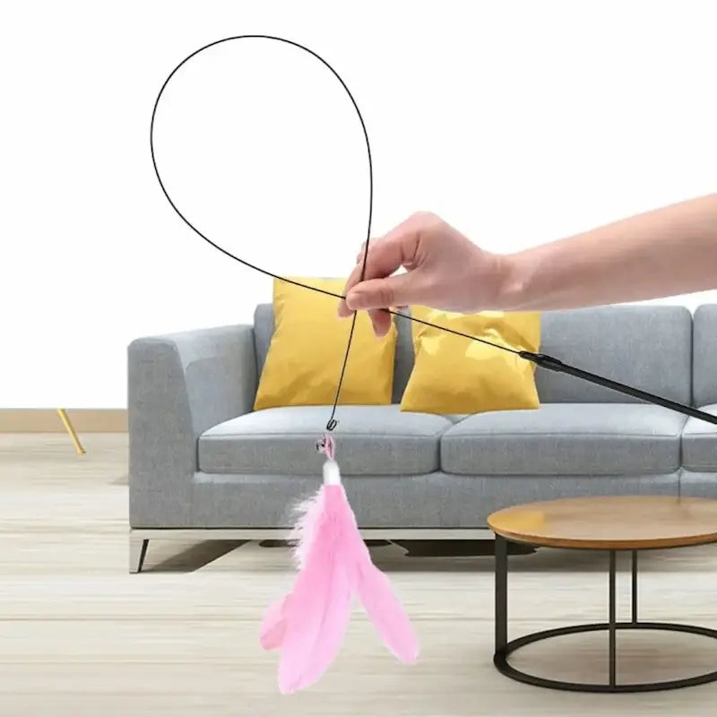 Jouet pour chat plume à ventouse