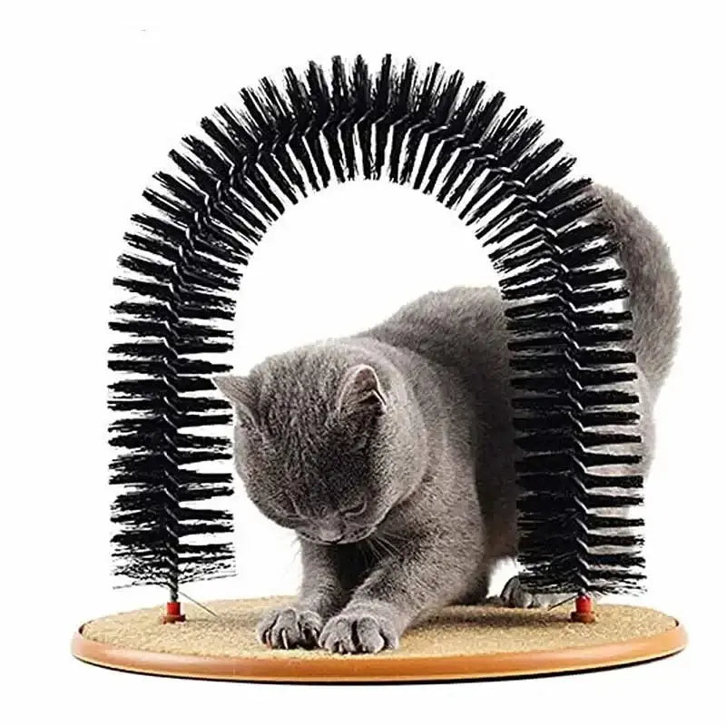 Jouet chat arc auto-grooming