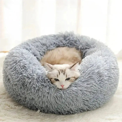 Coussin apaisant chat - Griffe d'Amour