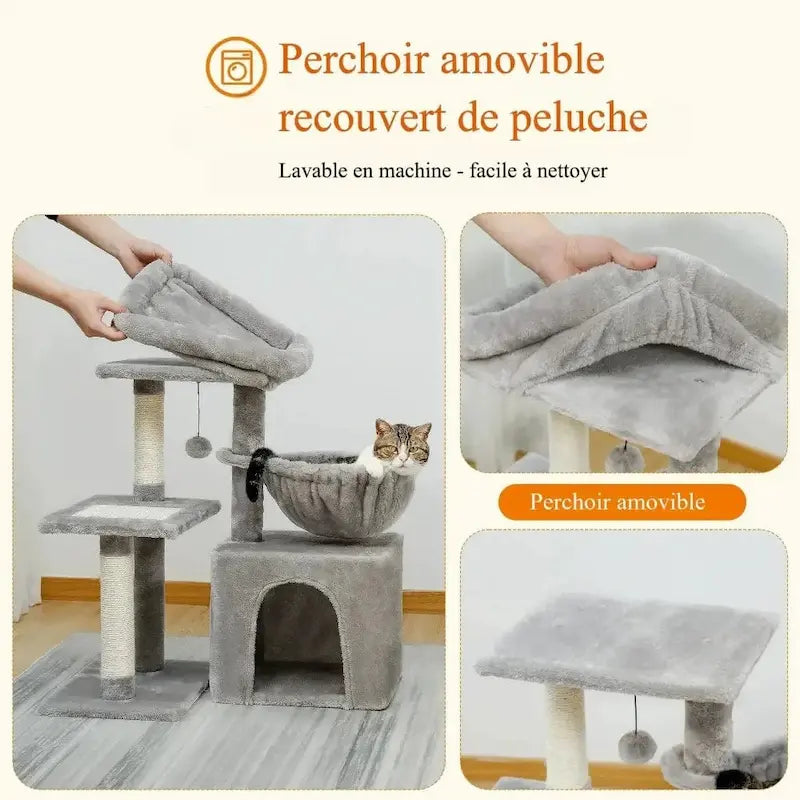 Petit arbre à chat