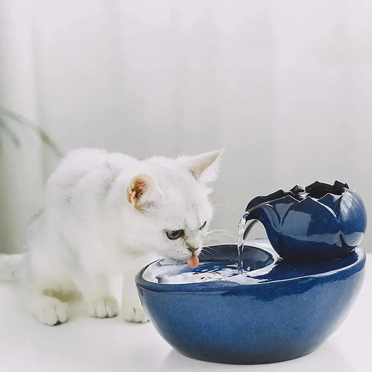 Abreuvoir chat céramique - Eau fraîche et propre garantie Griffe d'Amour