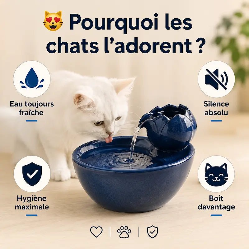 Abreuvoir chat céramique - Hygiène premium | CeramiPurr