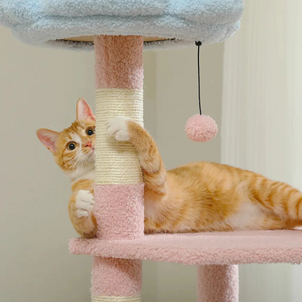 Arbre à chat 120 cm - Griffoir et détente tout-en-un Griffe d'Amour
