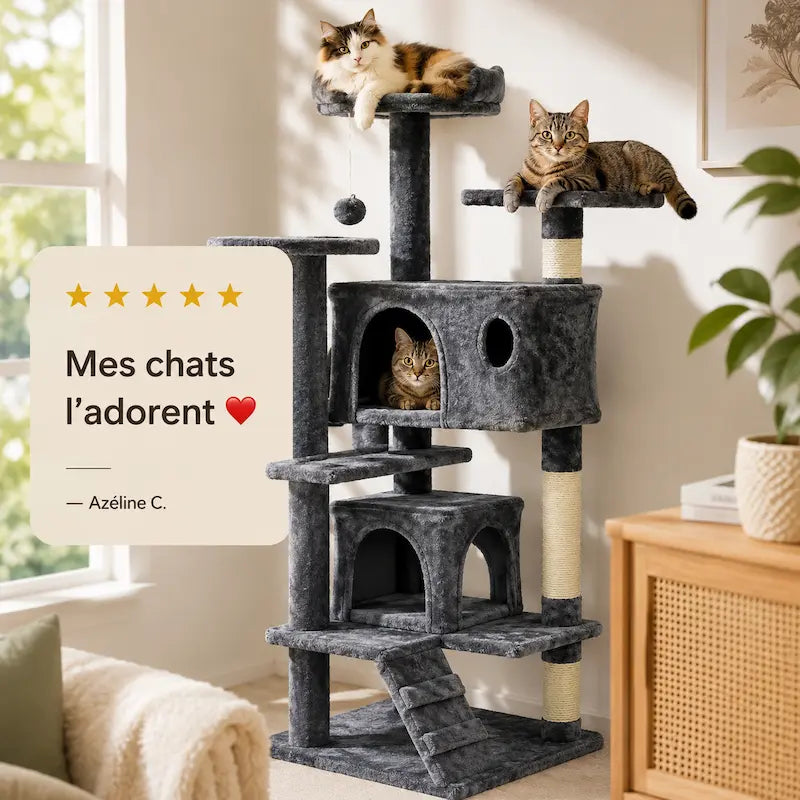 Arbre à chat avec échelle