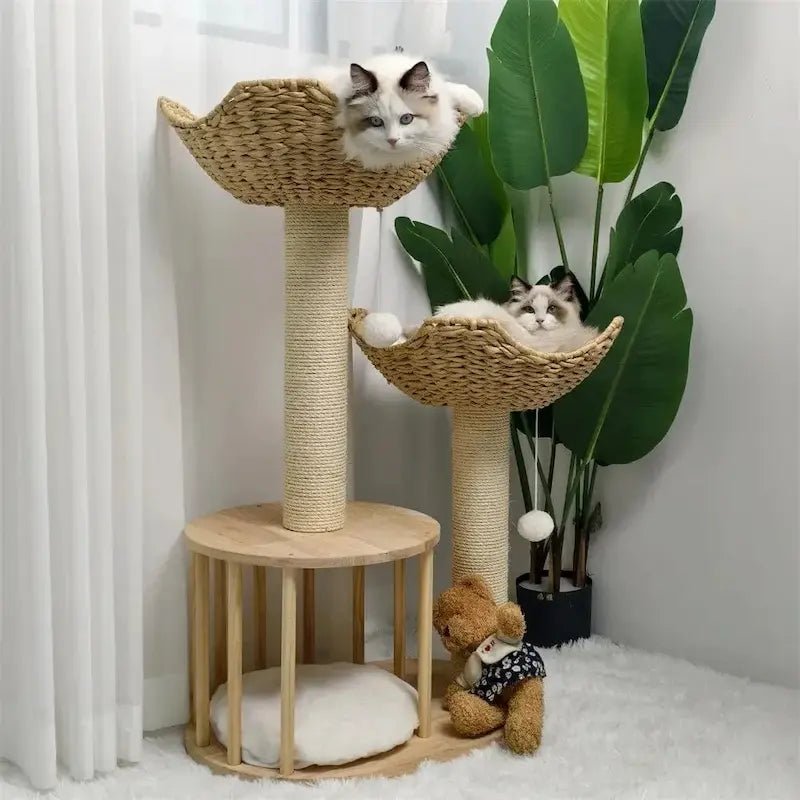 Arbre à chat design luxe Feluxe avec paniers en osier tressé et chats ragdoll