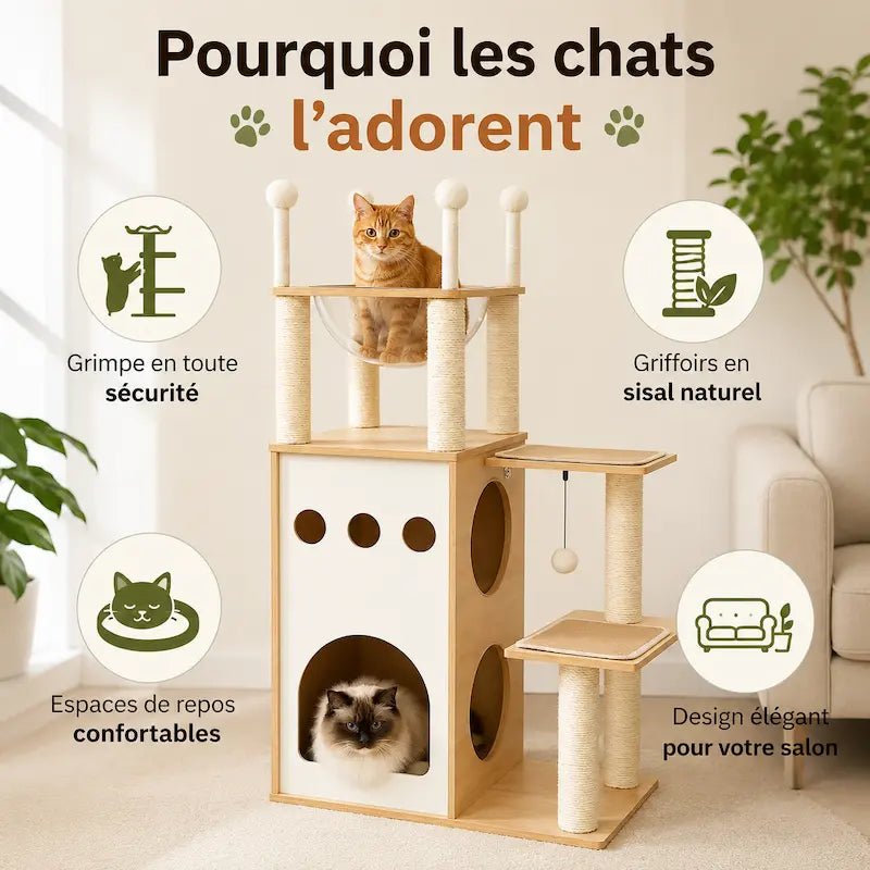 Arbre à chat en bois - Robuste & élégant | Felitree