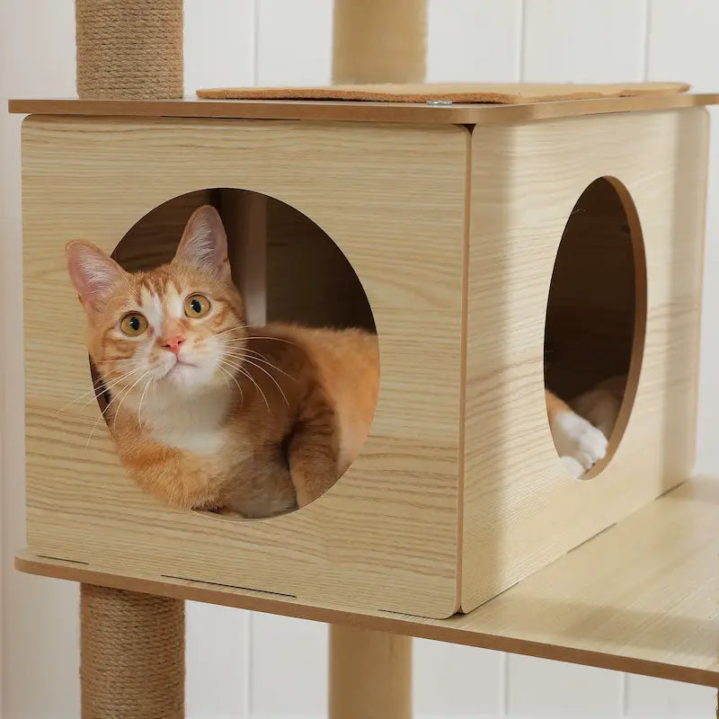 Arbre à chat intérieur bois
