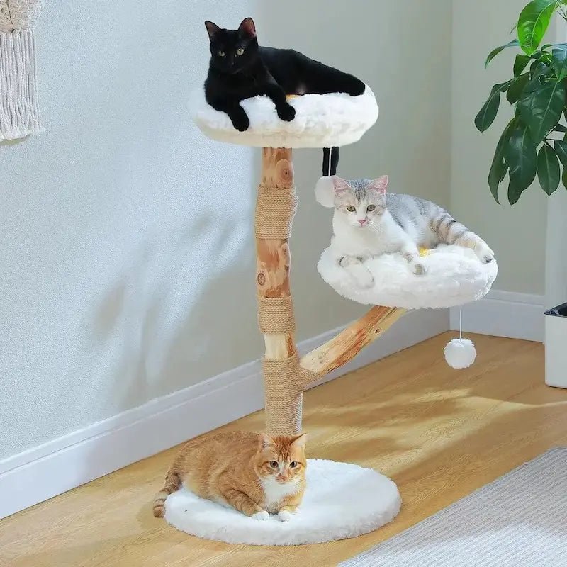 Arbre à chat nuage Miaosoft en bois naturel avec perchoirs fleur et trois chats