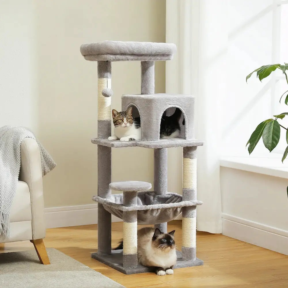 Arbre à chat solide - Idéal pour grands chats Griffe d'Amour