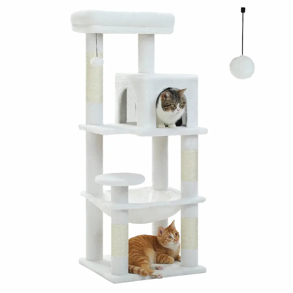 Arbre à chat solide - Idéal pour grands chats Griffe d'Amour