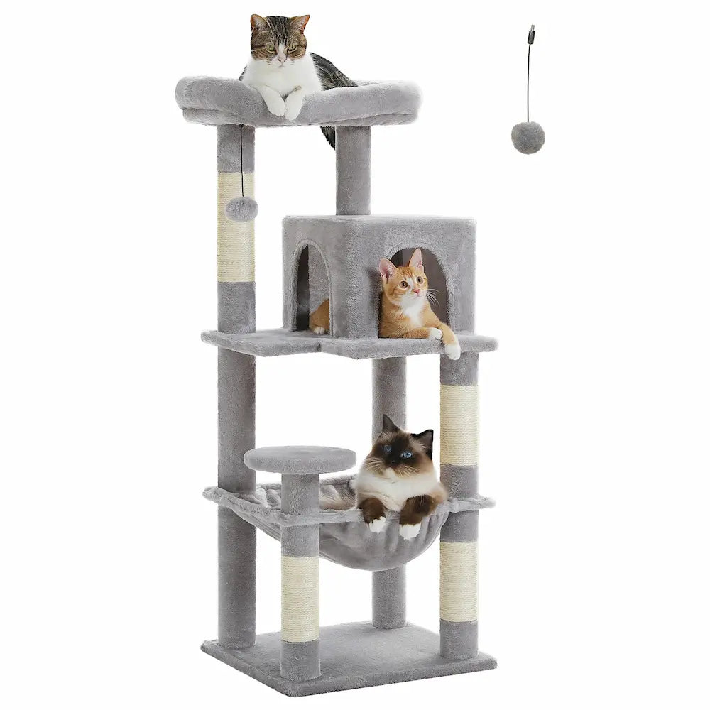Arbre à chat solide - Idéal pour grands chats Griffe d'Amour