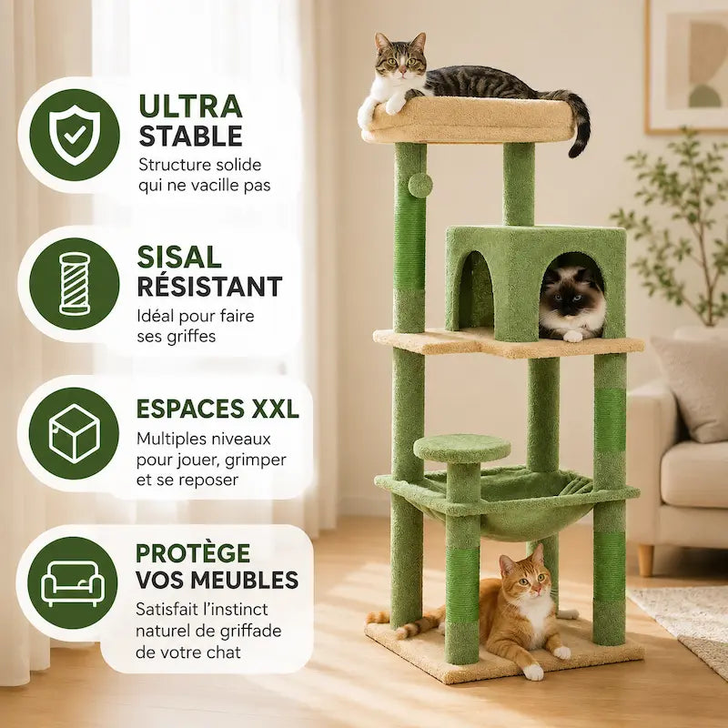 Arbre à chat solide