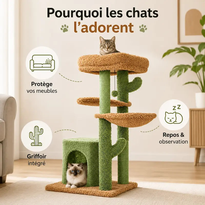 Arbre à chat cactus avec griffoir