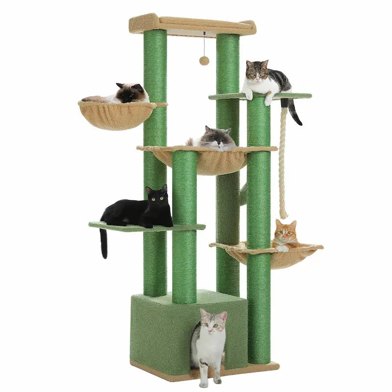 Arbre à chat multi plateforme
