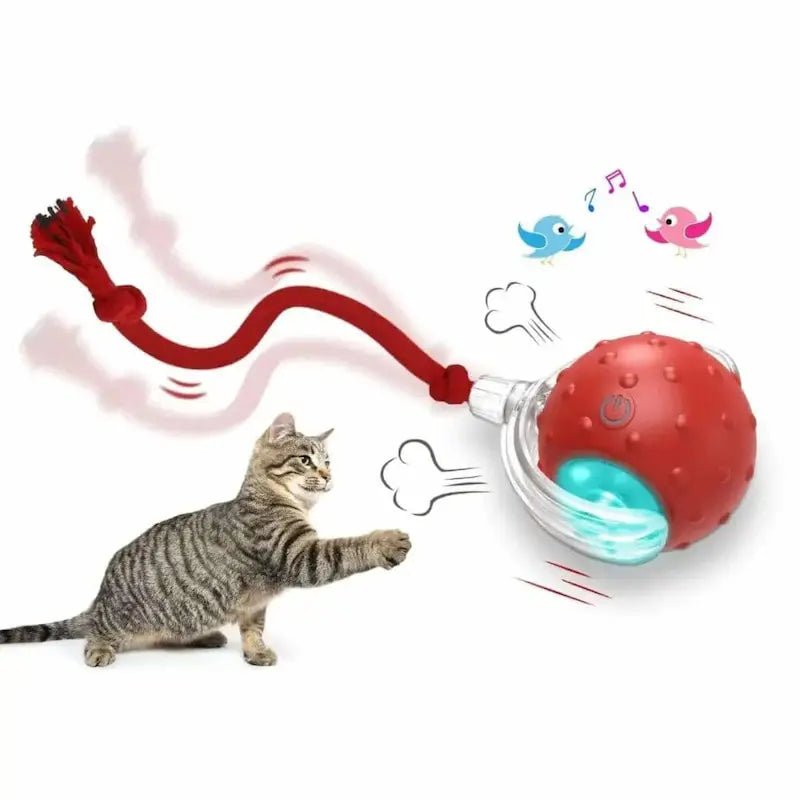 Balle magique pour chat - Lumières & mouvement | FéliMagic