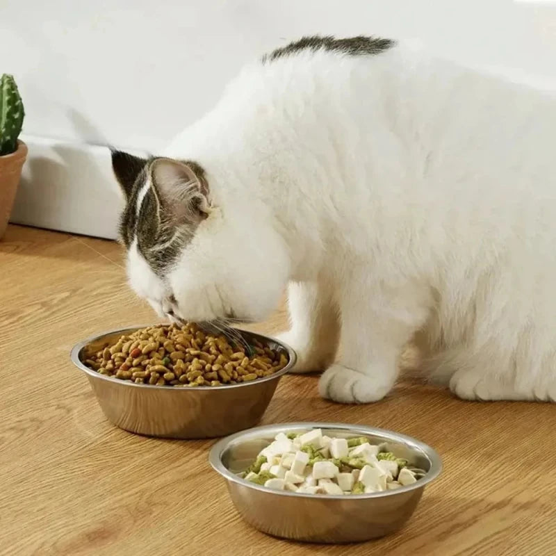 Bol en inox pour chat - Hygiène maximale | SteelBowl