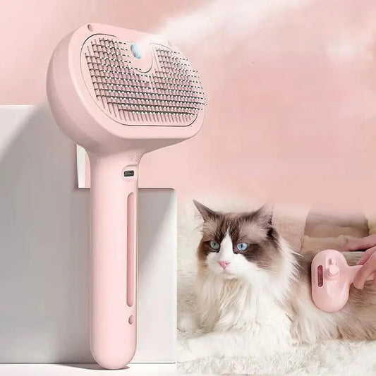 Brosse avec spray