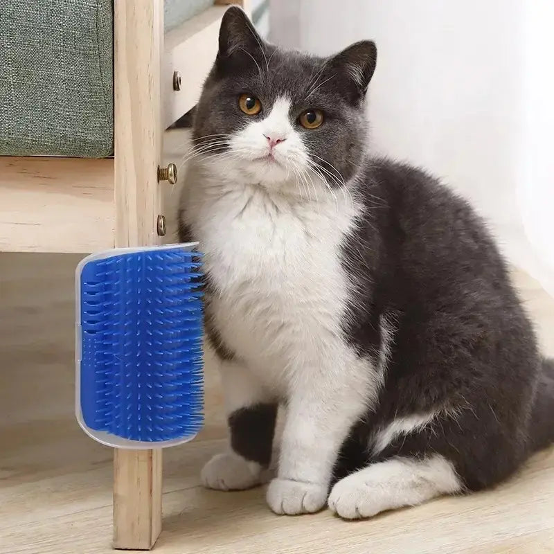 Brosse murale chat