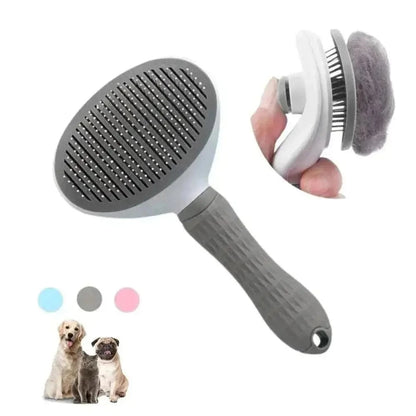 Brosse toilettage chat