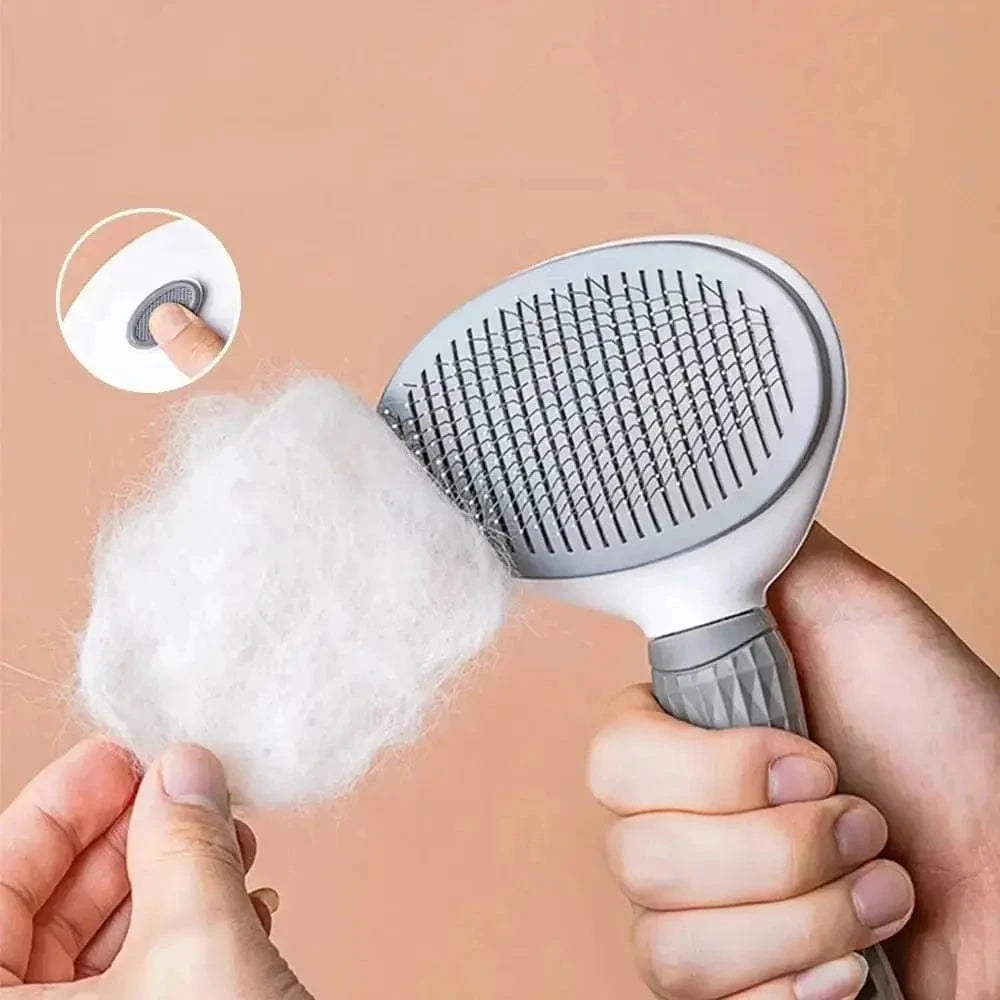 Brosse toilettage chat