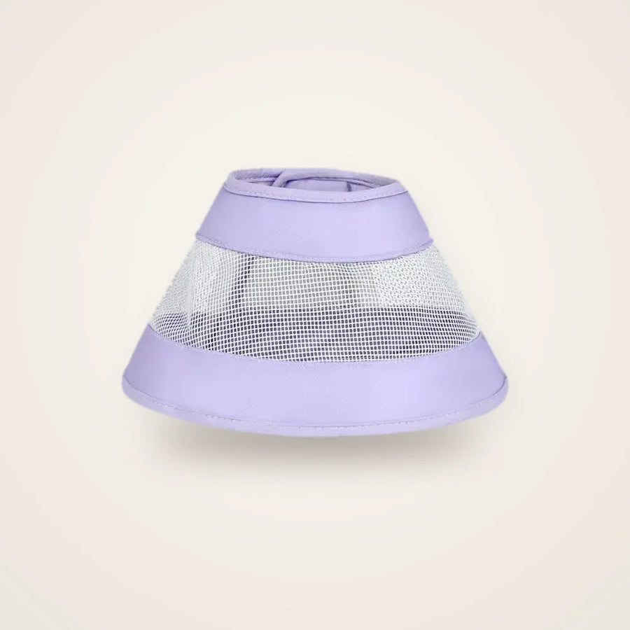 Collerette anti-rayures chat violette sur fond neutre