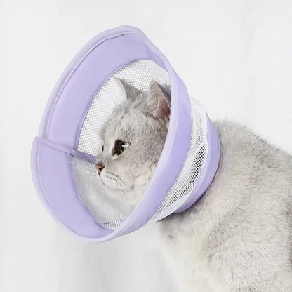 Collerette anti-rayures chat