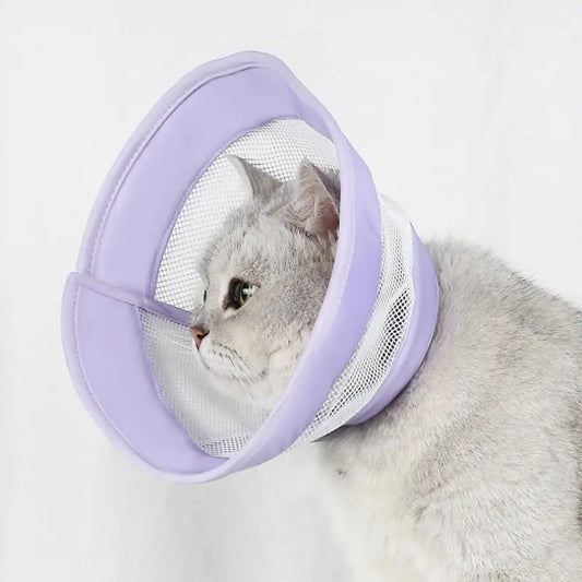 Collerette anti-rayures chat